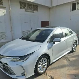 Toyota Corolla 2021