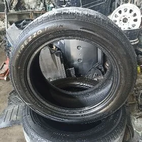 225 55 17