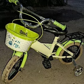 Tigir caga