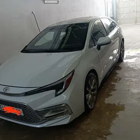 Toyota Corolla 2024