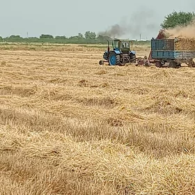 MTZ T-28 1999