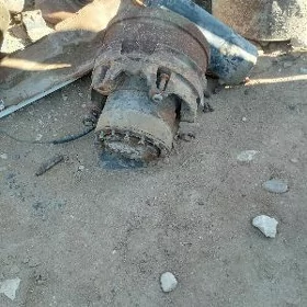 maz zapjas