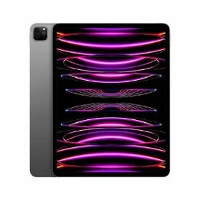 Ipad pro m5 256