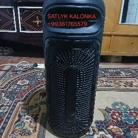 Satlyk kalonka