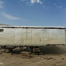 Man TGX 1981