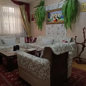 Гресс Ахал 5ком