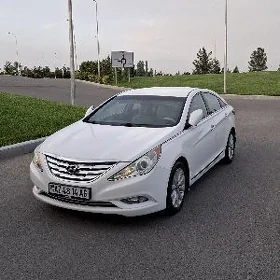 Hyundai Sonata 2010