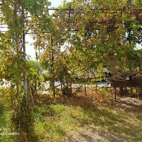 şajabatyrda ortasynda boş yer