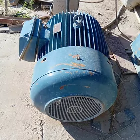 elektro dwigetel
