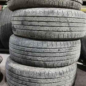 225 60 18 Teker Tigir