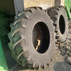ayak