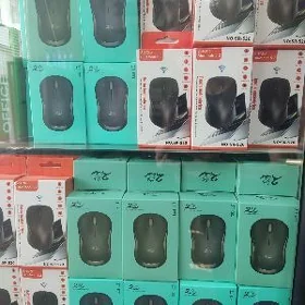mouse