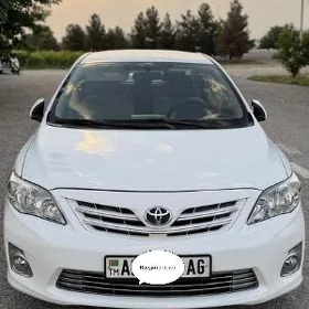 carolla