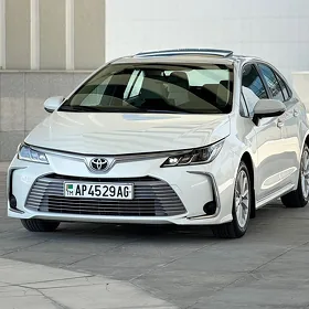 Toyota Corolla 2021
