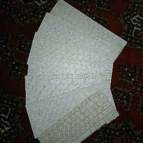 okuwcy komp zapcaslary