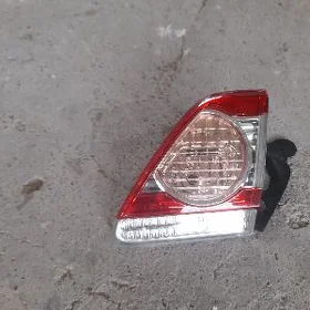 carolla yzky cyra haliji