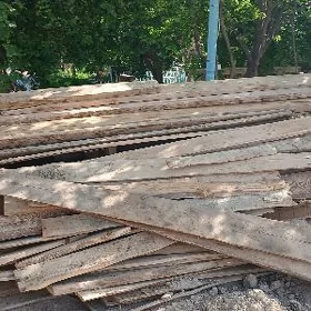 agaç strapile çorny polluk aga