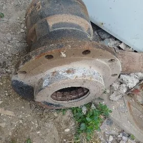 stupitsa