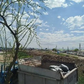 MYTY MITI KERPIÇ SEMENT PULPA