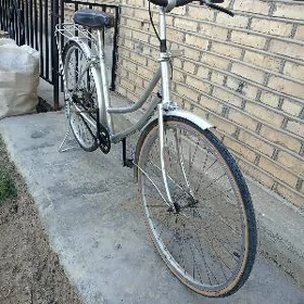 Tigir 26 lyk