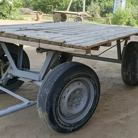 eşek we arawa