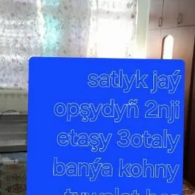Satlyk jaý