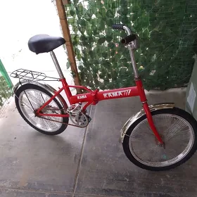tigir 20 lyk