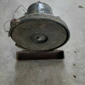 Тачильный апарат