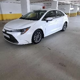Toyota Corolla 2021