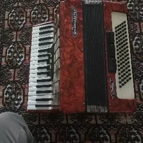 Akardiýon