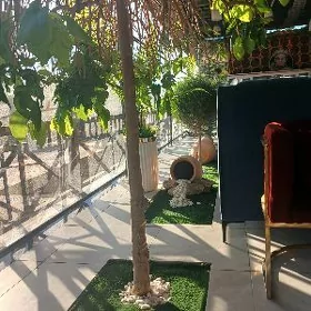 Arenda Buzmeyin jemagat