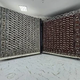 Eyran haly