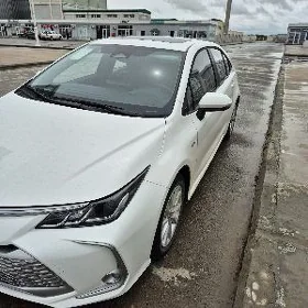 Toyota Corolla 2025