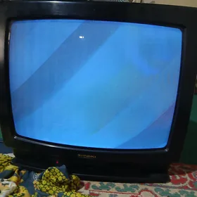 Telewizor