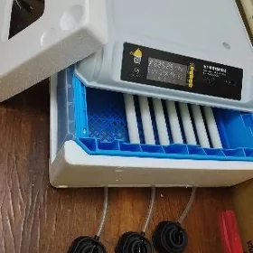 inkubator инкубатор