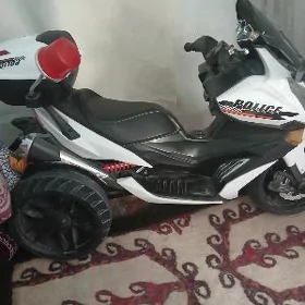 Polisya mator