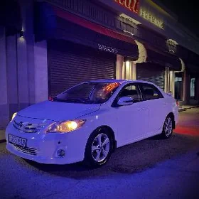 Toyota Corolla 2011