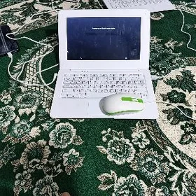 kampyuter bilimli