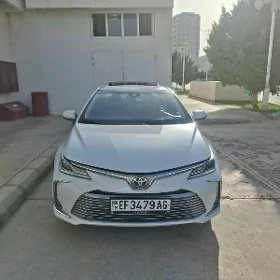 Toyota Corolla 2021