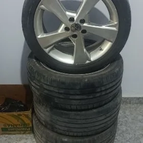 karolla disga pakirişka