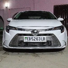 Toyota Corolla 2023