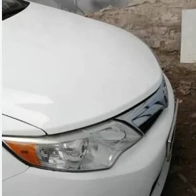 Palta camry fara sagy