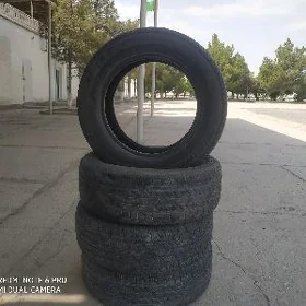 Pakryşka