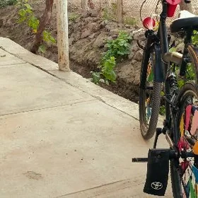 velsepet