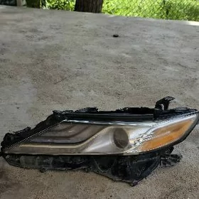 Camry Fara