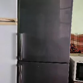 holadelnik