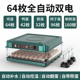 Inkubator 64 yumurtgalyk