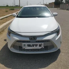 Toyota Corolla 2022