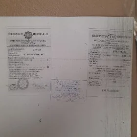 tehpasport,tehtalon