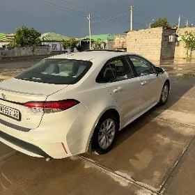 Toyota Corolla 2021